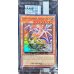 画像1: ☆アジア☆(未開封)DragonofIlluminationSanctuarysShield【ウルトラ】{アジア2025-EN004}《モンスター》 (1)