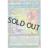 〔状態B〕御巫神舞二貴子【プリズマティックシークレット】{TTP1-JP059}《魔法》
