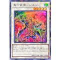 〔状態B〕真六武衆シエン【スーパーパラレル】{24TP-JP302}《シンクロ》