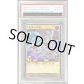 〔PSA10鑑定済〕真紅眼の黒竜【ラッシュレア SPECIAL RED Ver.】{RD/P000-JP003}《RDモンスター》