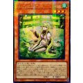 〔状態A-〕☆アジア☆[新]珠の御巫フゥリ(座り)【ウルトラパラレル】{アジアTTP1-JP062}《モンスター》