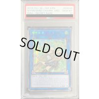 〔※状態難/PSA10鑑定済〕☆韓国語版☆蒼翠の風霊使いウィン【シークレット】{RIRA-KR046}《リンク》