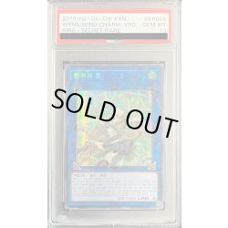 画像1: 〔※状態難/PSA10鑑定済〕☆韓国語版☆蒼翠の風霊使いウィン【シークレット】{RIRA-KR046}《リンク》