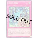 〔状態B〕命王の螺旋【シークレット】{DOOD-JP079}《罠》