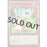 〔状態A-〕きのみ隠しのうっかりす【ノーマルパラレル】{25PR-JP002}《モンスター》