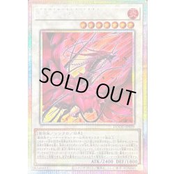 画像1: 〔状態A-〕黒薔薇の破滅竜【プリズマティックシークレット】{DOOD-JP039}《シンクロ》