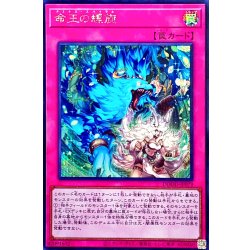 画像1: 命王の螺旋【シークレット】{DOOD-JP079}《罠》
