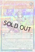 〔状態B〕ドレミコードプリモア【プリズマティックシークレット】{DOOD-JP021}《モンスター》