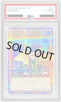 〔PSA10鑑定済〕アクアマドール【クォーターセンチュリーシークレット】{QCLP-JP002}《モンスター》
