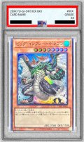 〔PSA9鑑定済〕ビッグインフレートドラゴン【スーパー】{TDPR-JP002}《モンスター》