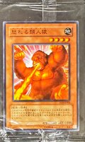 (未開封)怒れる類人猿【ノーマル】{PC8-JP002}《モンスター》