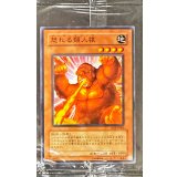 (未開封)怒れる類人猿【ノーマル】{PC8-JP002}《モンスター》