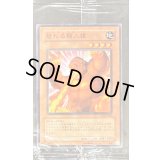 (未開封)怒れる類人猿【ノーマル】{PC8-JP002}《モンスター》