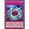 バージェストマディノミスクス【ノーマルパラレル】{24EP-JP316}《罠》