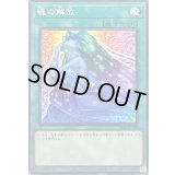 魂の解放【ノーマル】{24EP-JP109}《魔法》