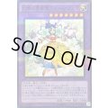 〔状態A-〕幻奏の華歌聖ブルームプリマ【ノーマルパラレル】{DBLE-JP008}《融合》