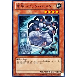 画像1: 素早いビッグハムスター【ノーマル】{EXP3-JP034}《モンスター》