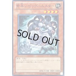 画像1: 〔状態A-〕素早いビッグハムスター【ノーマル】{EXP3-JP034}《モンスター》