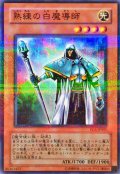 〔状態A-〕熟練の白魔導師【ノーマルパラレル】{PC6-JP001}《モンスター》