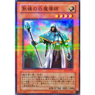 〔状態A-〕熟練の白魔導師【ノーマルパラレル】{PC6-JP001}《モンスター》