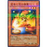 〔状態B〕逆巻く炎の精霊【ノーマルパラレル】{RDS-JP020}《モンスター》