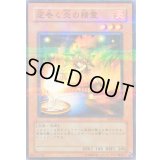 〔状態C〕逆巻く炎の精霊【ノーマルパラレル】{RDS-JP020}《モンスター》