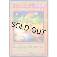 逆巻く炎の精霊【ノーマルパラレル】{RDS-JP020}《モンスター》