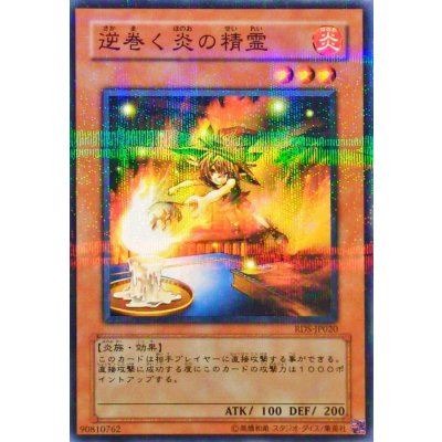 〔状態B〕逆巻く炎の精霊【ノーマルパラレル】{RDS-JP020}《モンスター》