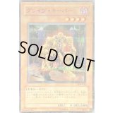 〔状態A-〕グレイヴキーパー【ノーマルパラレル】{309-022}《モンスター》