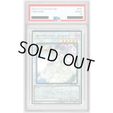 〔PSA10鑑定済〕ガーデンローズメイデン【ウルトラ】{DP21-JP023}《シンクロ》