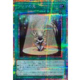 プリマの光【プリズマティックシークレット】{LPG1-JP007}《魔法》
