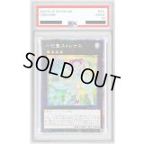 〔PSA9鑑定済〕六花聖ストレナエ【プリズマティックシークレット】{ROTD-JP046}《エクシーズ》
