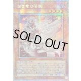 〔状態B〕☆アジア☆白き竜の落胤【プリズマティックシークレット】{アジアBPRO-JP024}《モンスター》