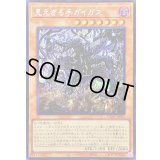 〔状態A-〕☆アジア☆見えざる手ガイガス【シークレット】{アジアDBPR-JP004}《モンスター》