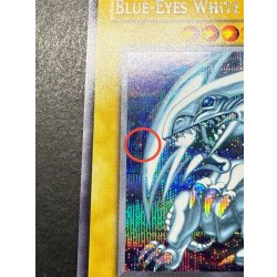 画像12: 〔状態B〕BlueeyesWhiteDragon【シークレット】{DDS-001}《モンスター》