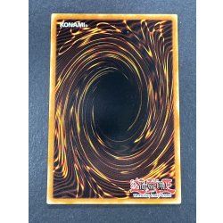 画像7: 〔状態B〕BlueeyesWhiteDragon【シークレット】{DDS-001}《モンスター》