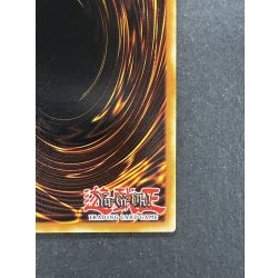 画像11: 〔状態B〕BlueeyesWhiteDragon【シークレット】{DDS-001}《モンスター》