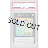 〔PSA10鑑定済〕六花聖ストレナエ【プリズマティックシークレット】{ROTD-JP046}《エクシーズ》