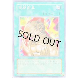 画像1: 突然変異【ノーマル】{301-038}《魔法》