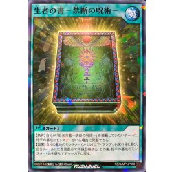 画像1: 生者の書禁断の呪術【ノーマルパラレル】{RD/SJMP-JP058}《RD魔法》