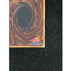 画像9: 〔状態B〕女剣士カナン【20thシークレット】{TTPR-JP001}《モンスター》