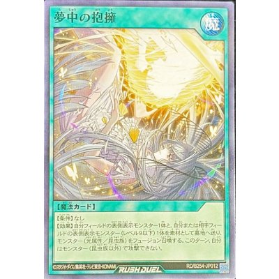 夢中の抱擁【ノーマル】{RD/B254-JP012}《RD魔法》