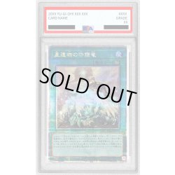 画像1: 〔※状態難/PSA10鑑定済〕星遺物の守護竜【クォーターセンチュリーシークレット】{QCCP-JP197}《魔法》