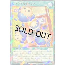 画像1: 〔状態A-〕タマタマガチャンス【ノーマルパラレル】{RD/SJMP-JP053}《RD魔法》