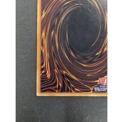 画像10: 真紅眼の黒竜【レリーフ】{301-056}《モンスター》