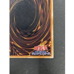 画像11: 真紅眼の黒竜【レリーフ】{301-056}《モンスター》