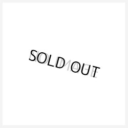 画像1: 〔WCS2019優勝＆準優勝プロモ〕天元の荒鷲王/KaiserEagletheHeavens'Mandate＆黒き森の航天閣/SkyfaringCastleoftheBlackForest【シークレット】{2019-EN001,2019-EN002}《リンク》