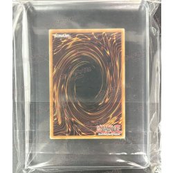 画像5: 〔WCS2019優勝＆準優勝プロモ〕天元の荒鷲王/KaiserEagletheHeavens'Mandate＆黒き森の航天閣/SkyfaringCastleoftheBlackForest【シークレット】{2019-EN001,2019-EN002}《リンク》