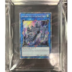 画像4: 〔WCS2019優勝＆準優勝プロモ〕天元の荒鷲王/KaiserEagletheHeavens'Mandate＆黒き森の航天閣/SkyfaringCastleoftheBlackForest【シークレット】{2019-EN001,2019-EN002}《リンク》