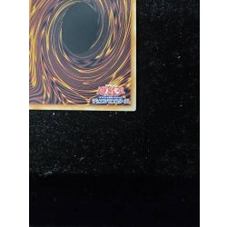 画像5: 〔状態A-〕☆アジア☆サイバースコードマジシャン【グランドマスター】{アジアLOCH-JP017}《儀式》